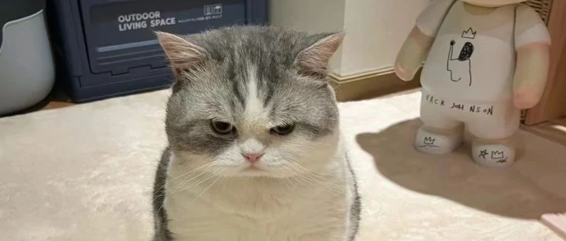 img1.jpeg