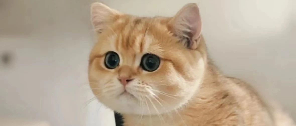 img1.jpeg