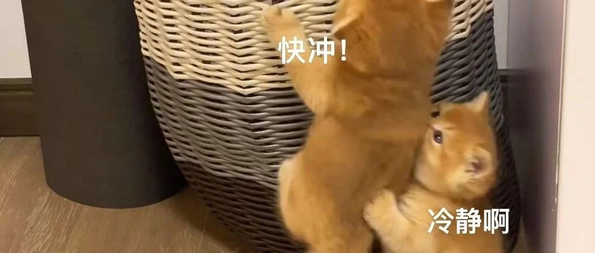 img1.jpeg