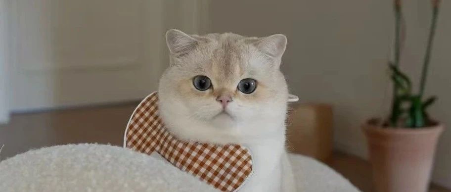 img1.jpeg