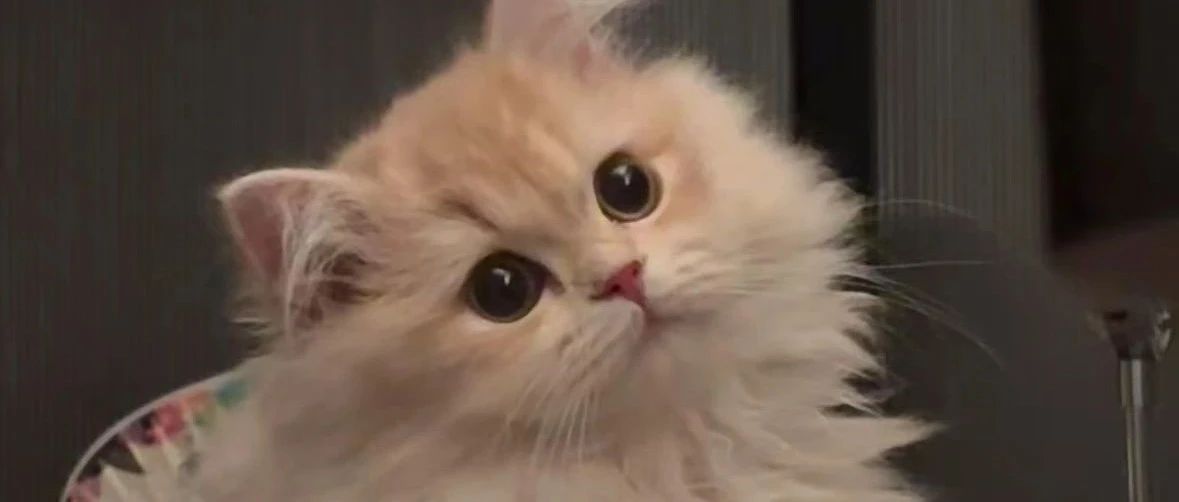 img1.jpeg
