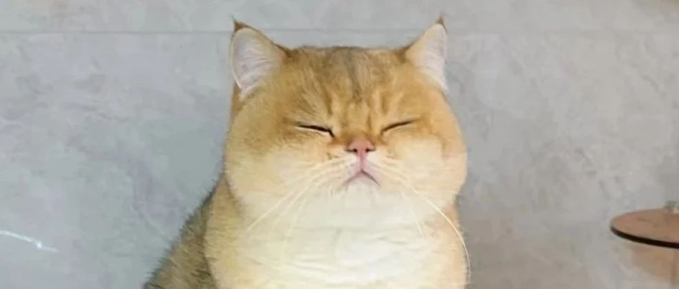 img1.jpeg