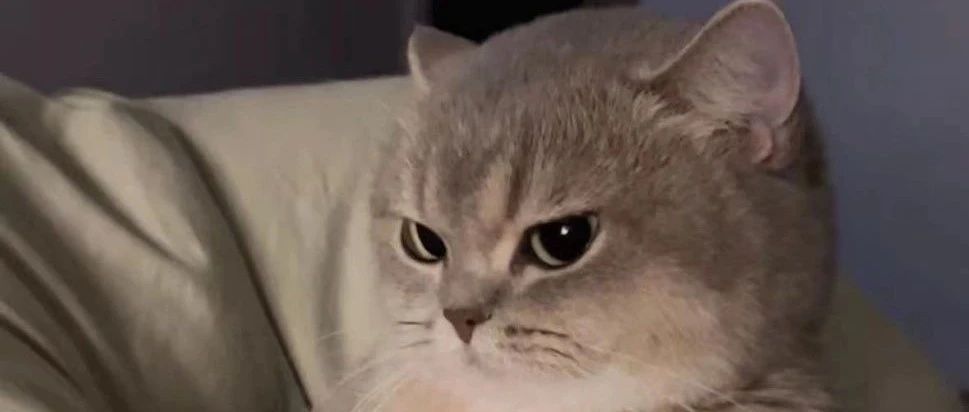 img1.jpeg