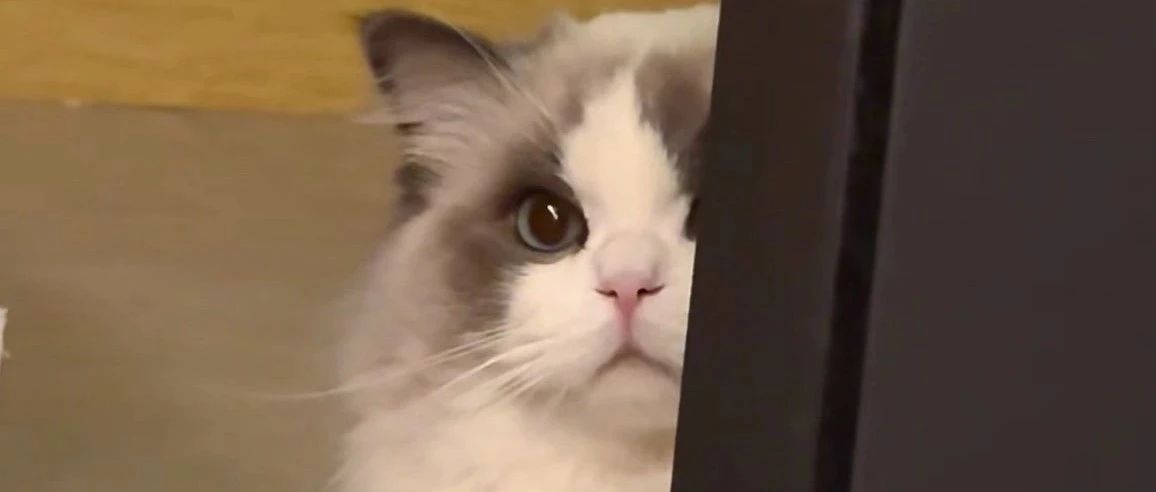 img1.jpeg