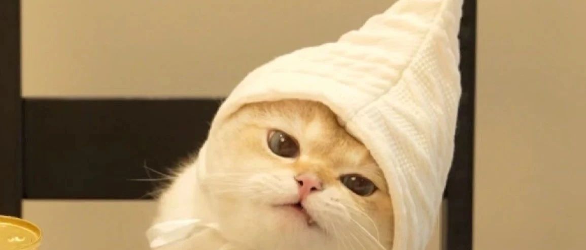img1.jpeg