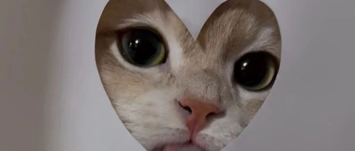 img1.jpeg