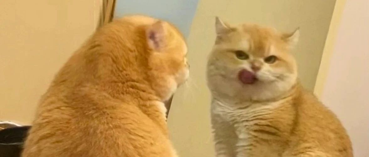 img1.jpeg