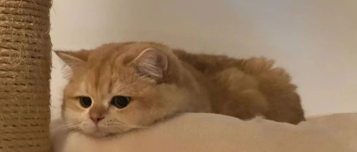 img1.jpeg