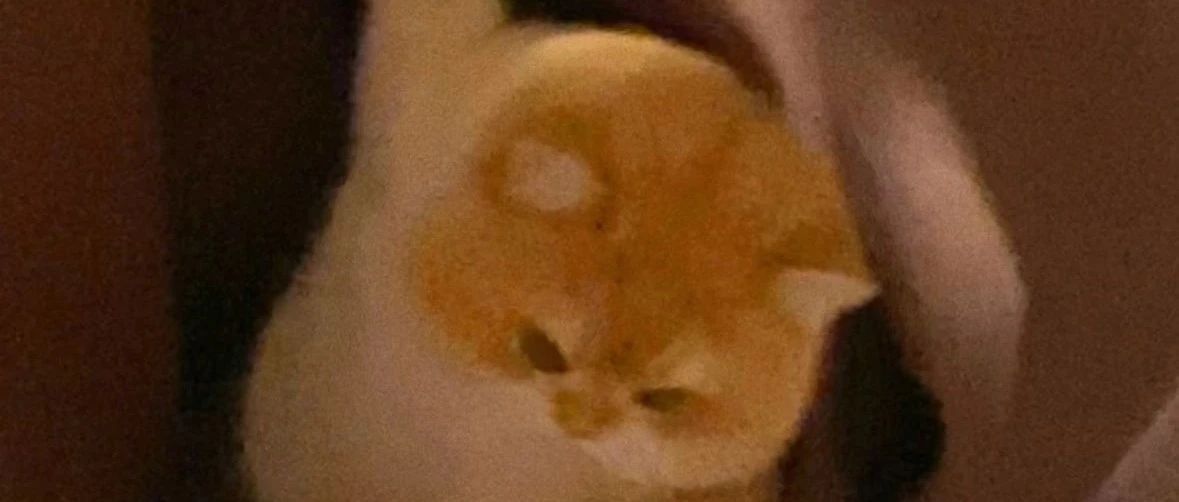 img1.jpeg