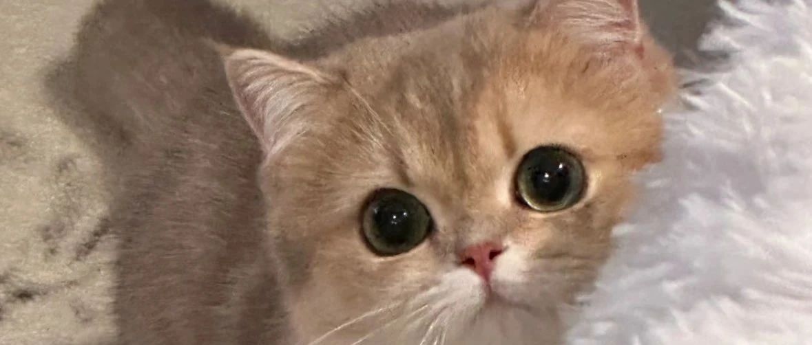 img1.jpeg
