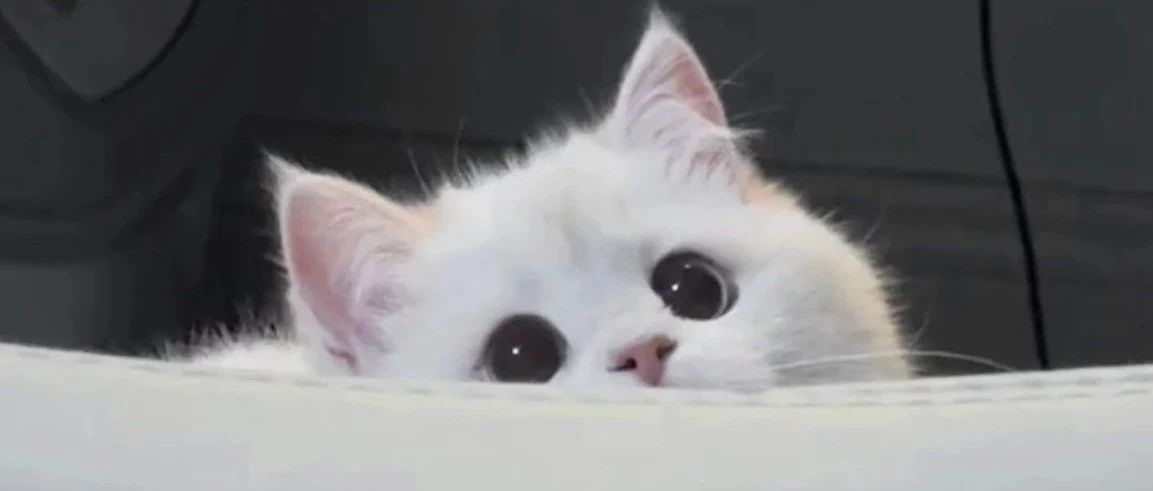 img1.jpeg