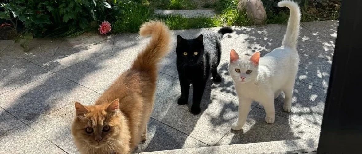 img1.jpeg