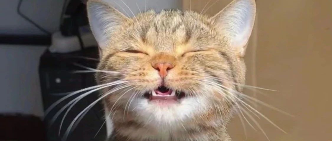 img1.jpeg