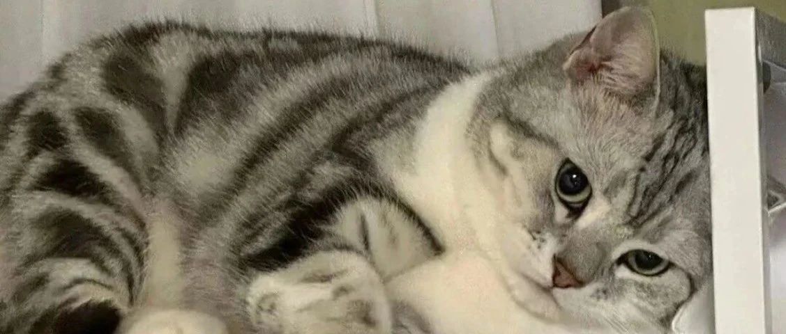 img1.jpeg