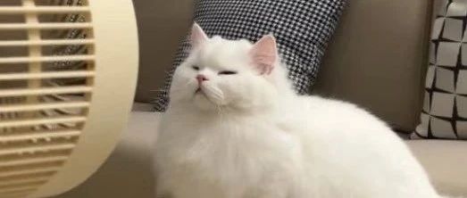 img1.jpeg