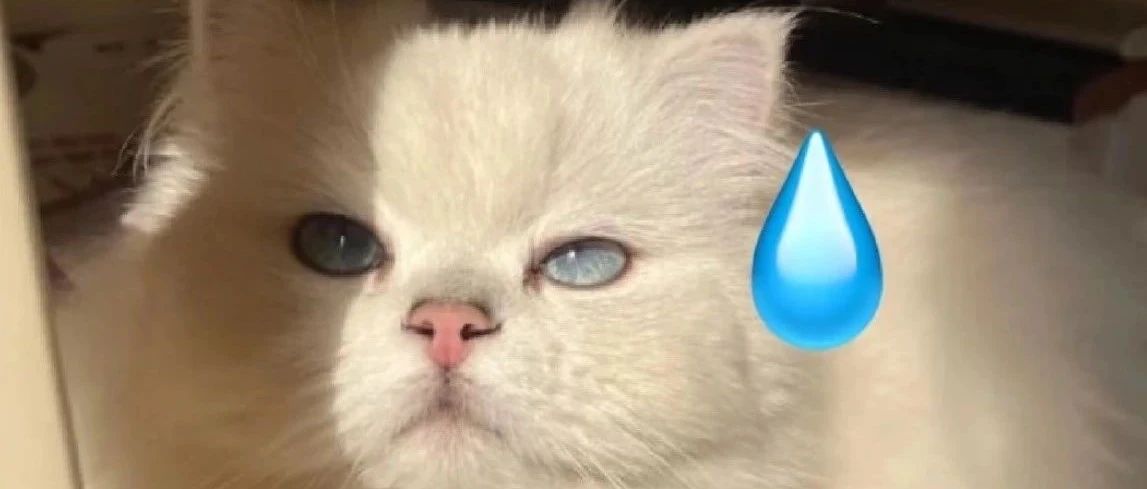 img1.jpeg