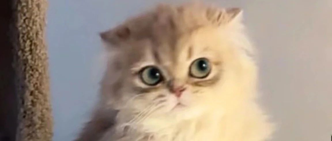 img1.jpeg