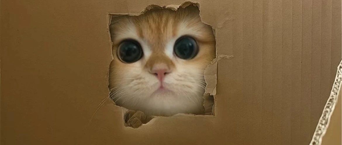 img1.jpeg