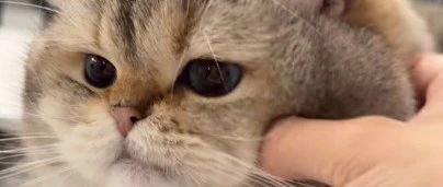 img1.jpeg