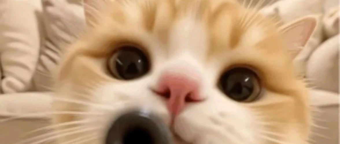 img1.jpeg