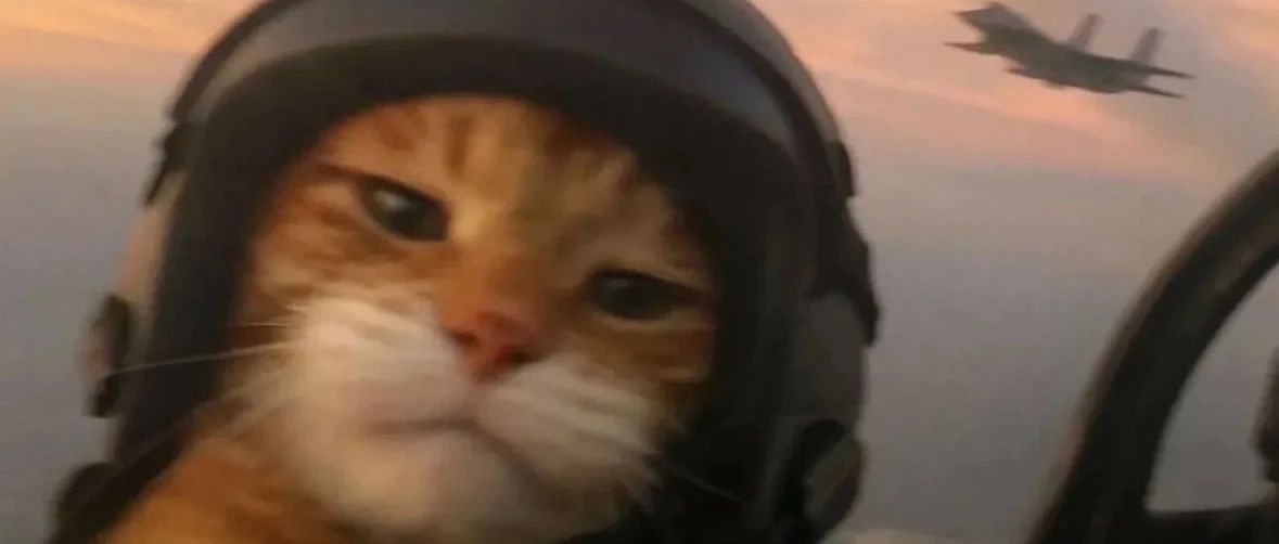 img1.jpeg